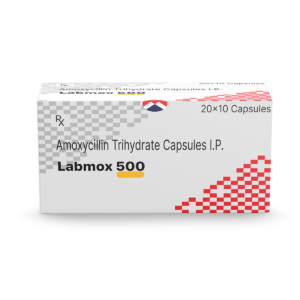 Labmox 500 Capsule